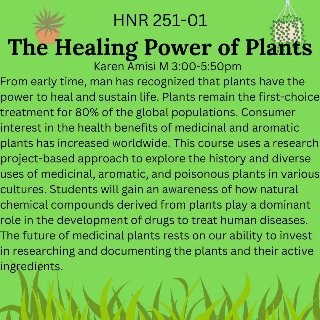 course description HNR 251-01